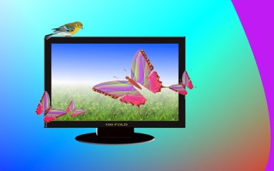 The Beginner’s Guide to LED Display Devices